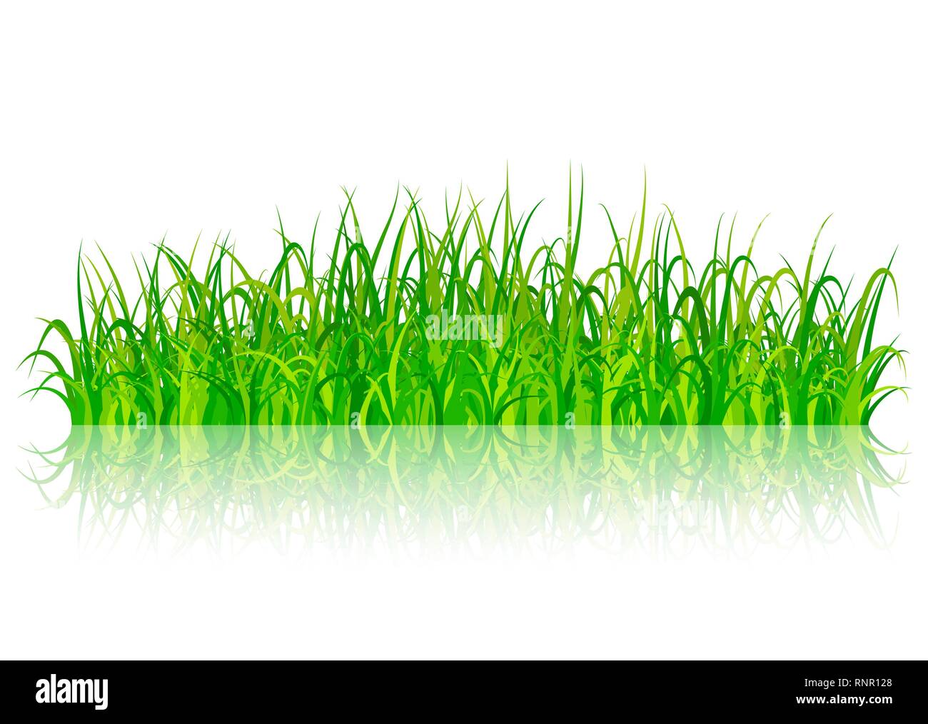 White grass on green background Stock Vector Images - Alamy
