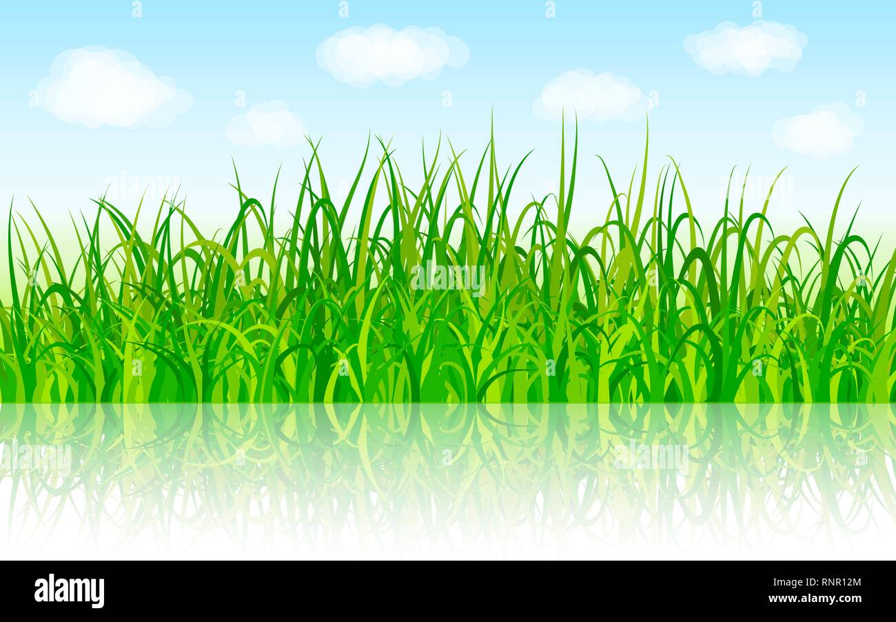 Nature background with green grass and blue sky vector Stock Vector ...