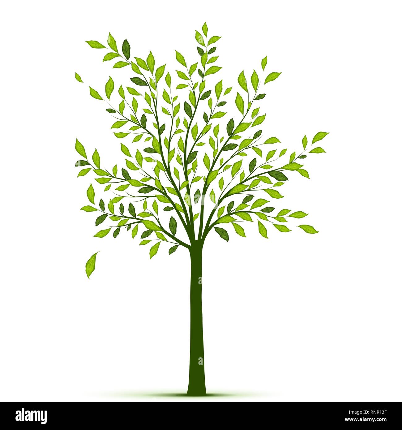 Green tree with leaves on white background vector Stock Vector Image ...