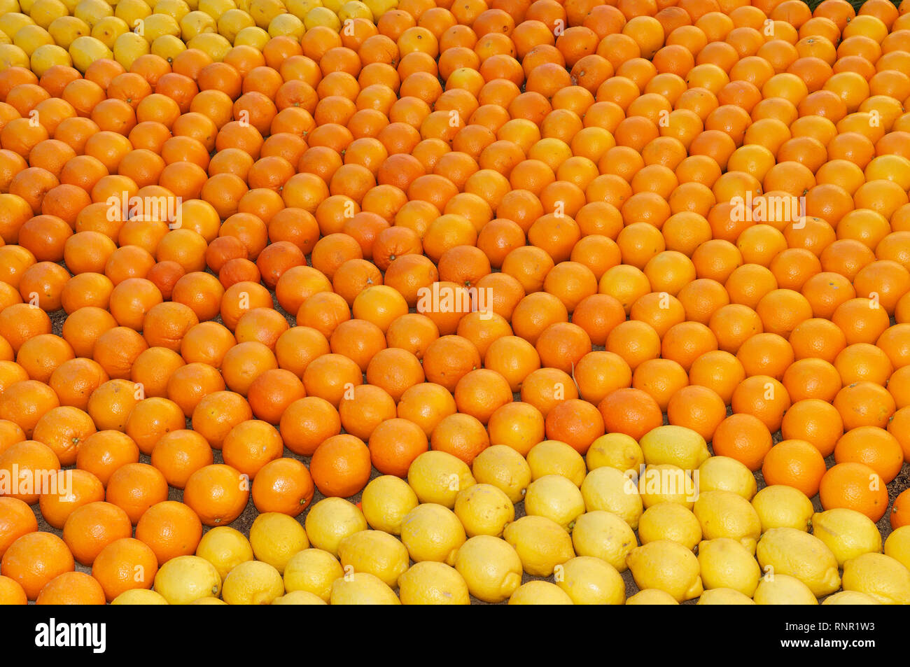 February 16th 2019 Menton, France,  the 86th LEMON FESTIVAL (les mondes fantastiques : pattern of lemons and oranges) during the Carnival of NICE Stock Photo