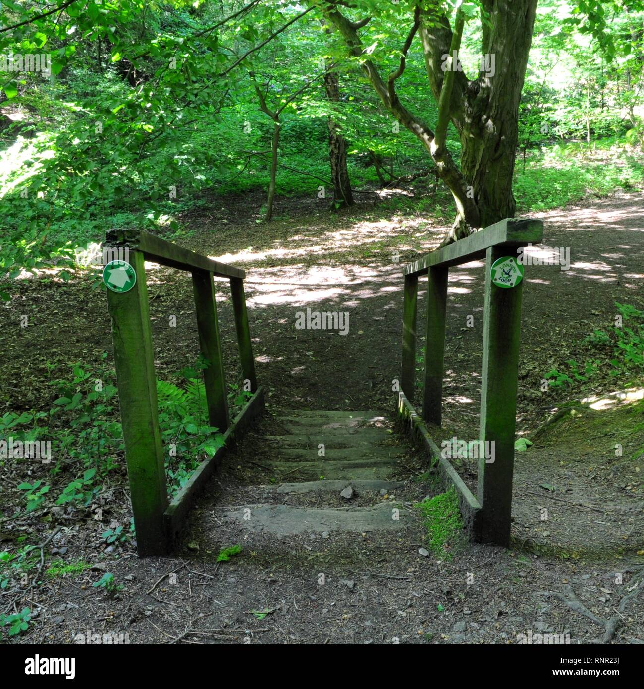 Part of the London Loop path in Moat Mount Open Space, Barnet, UK. Stock Photo