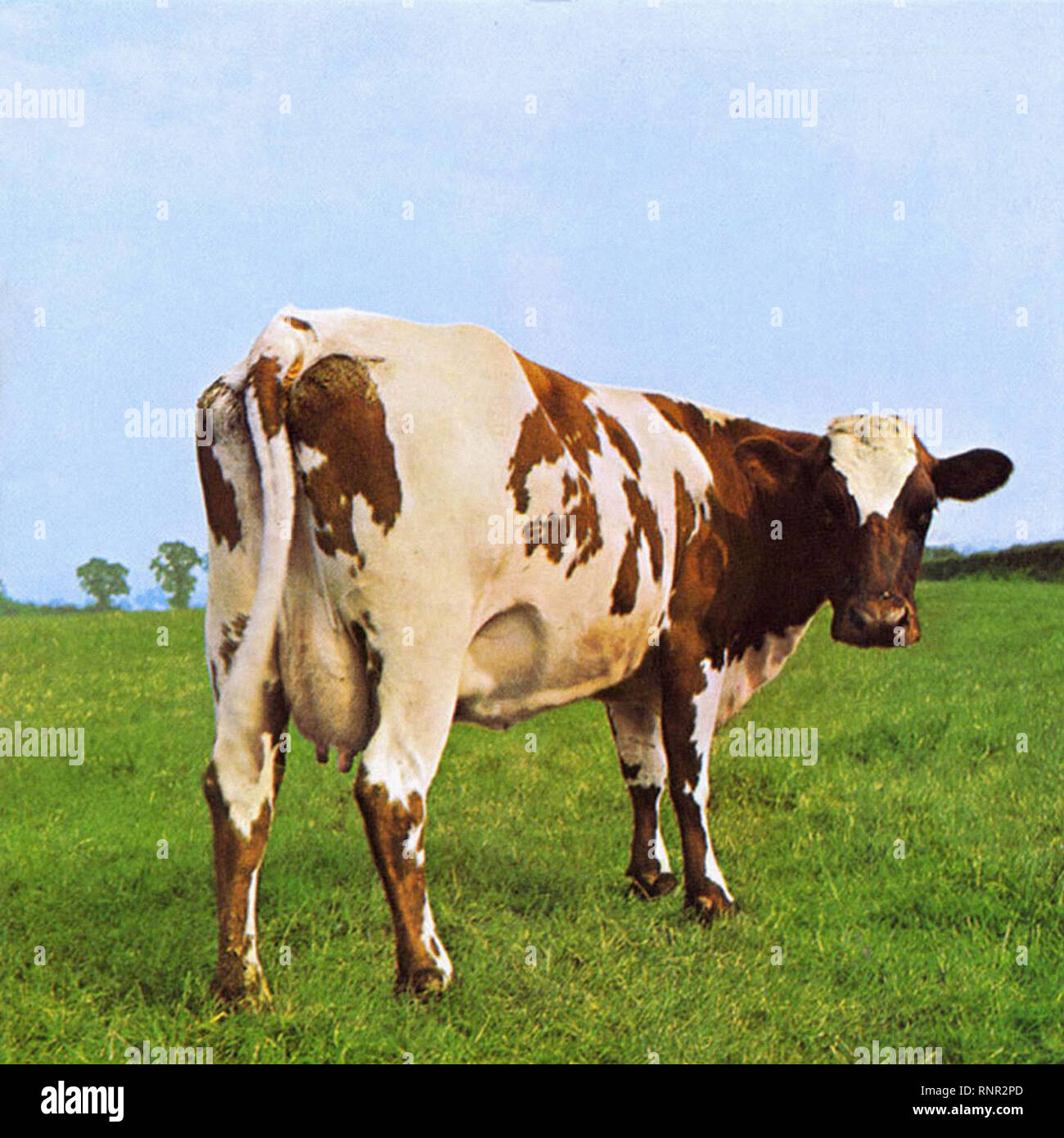 Pink Floyd Atom heart mother Vintage Cover Album Stock Photo Alamy