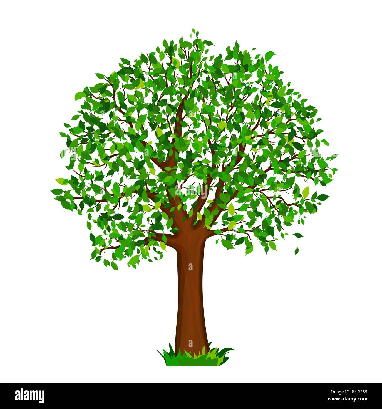 Tree with green leaves vector Stock Vector Image & Art - Alamy