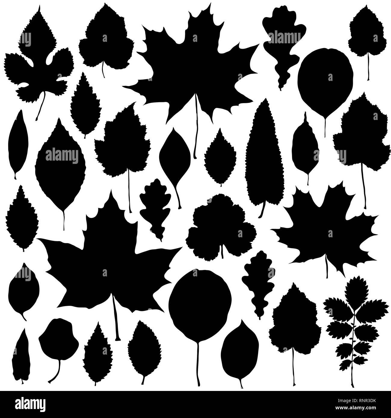 Vector set of leaves silhouette Stock Vector