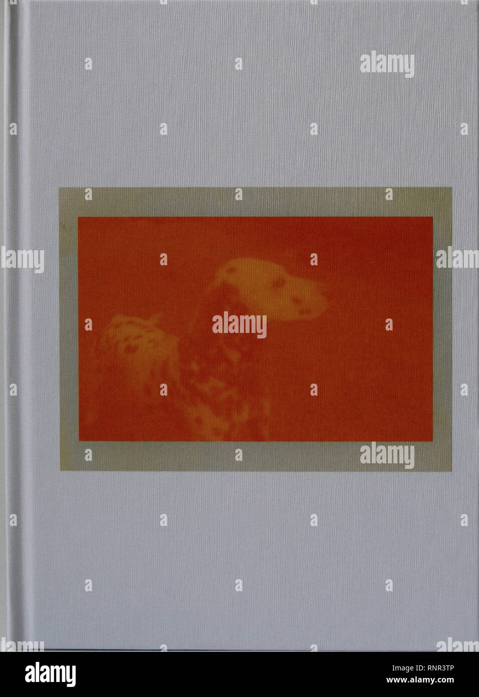 Eels Blinking Lights And Other Revelations Lyric Book Vintage Cover