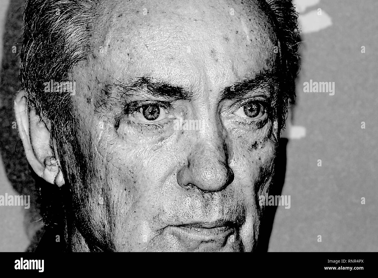 Udo Kier attends the Holy Beasts photocall during the 69th Berlin Film Festival at the Grand Hyatt Hotel in Berlin. © Paul Treadway Stock Photo