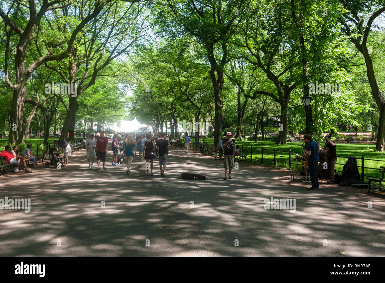 Busker band playing in Central Park, New York City, USA Stock Photo - Alamy