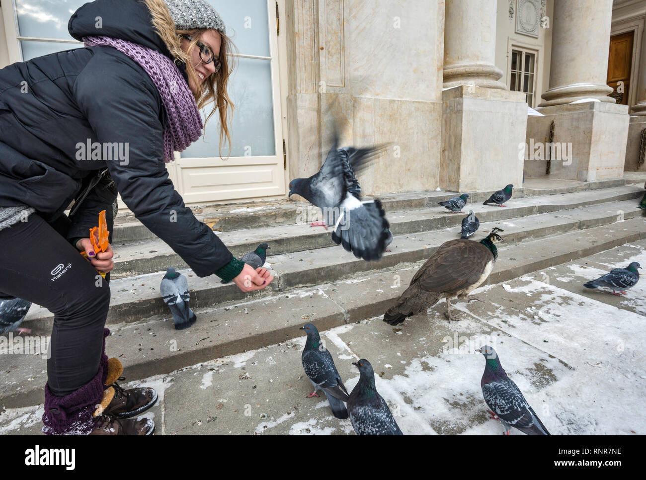 Young woman feeding a pigeon at Lazienki Palace in Warsaw, Poland Stock Photo