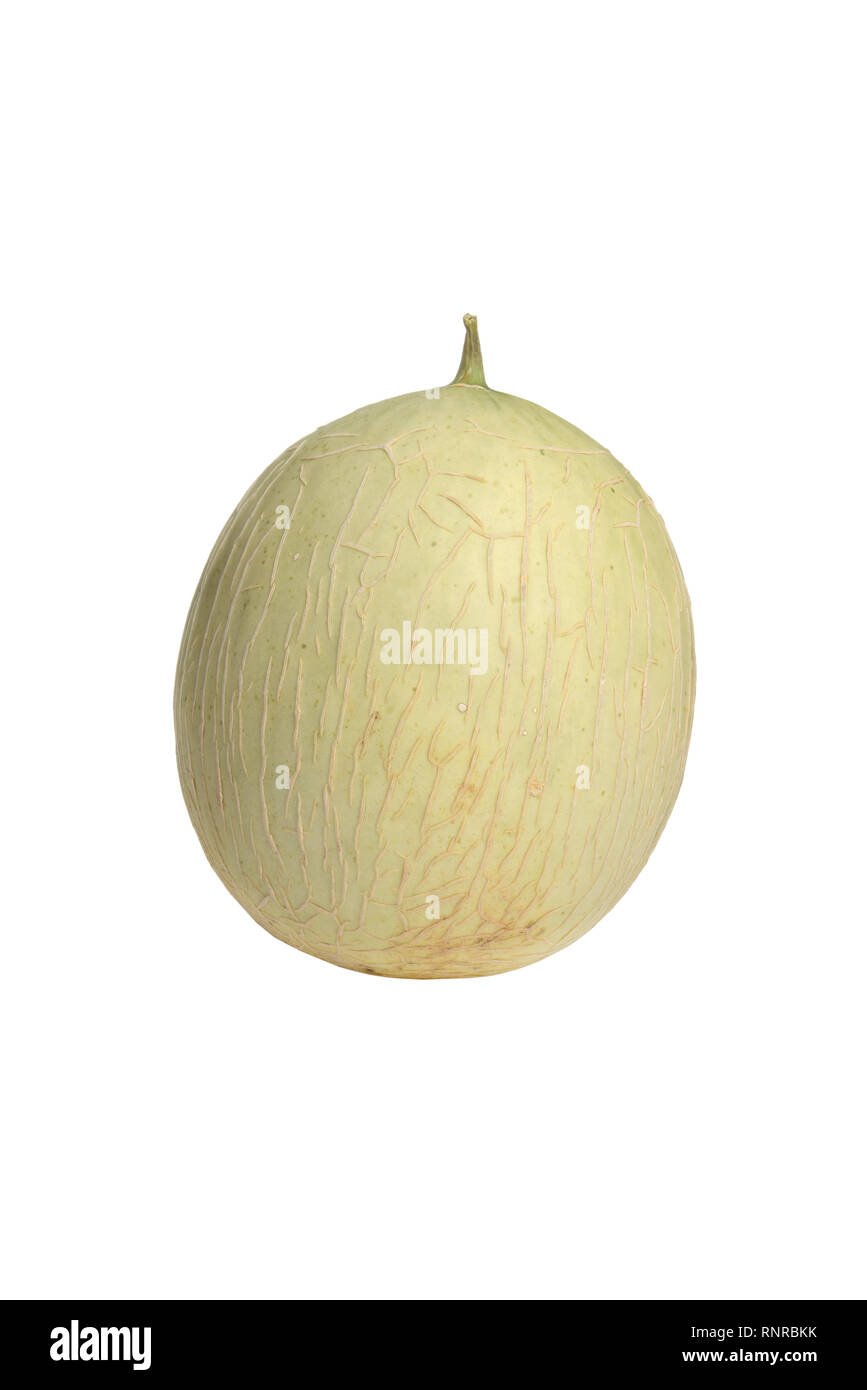 Hybrid cantaloupe honeydew melon Stock Photo Alamy