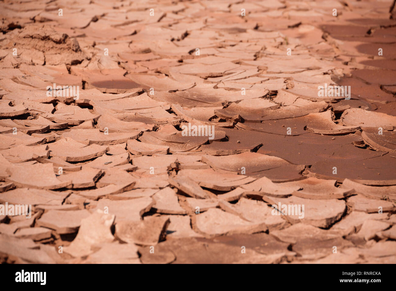 Climate warming dry red chapped land Stock Photo - Alamy