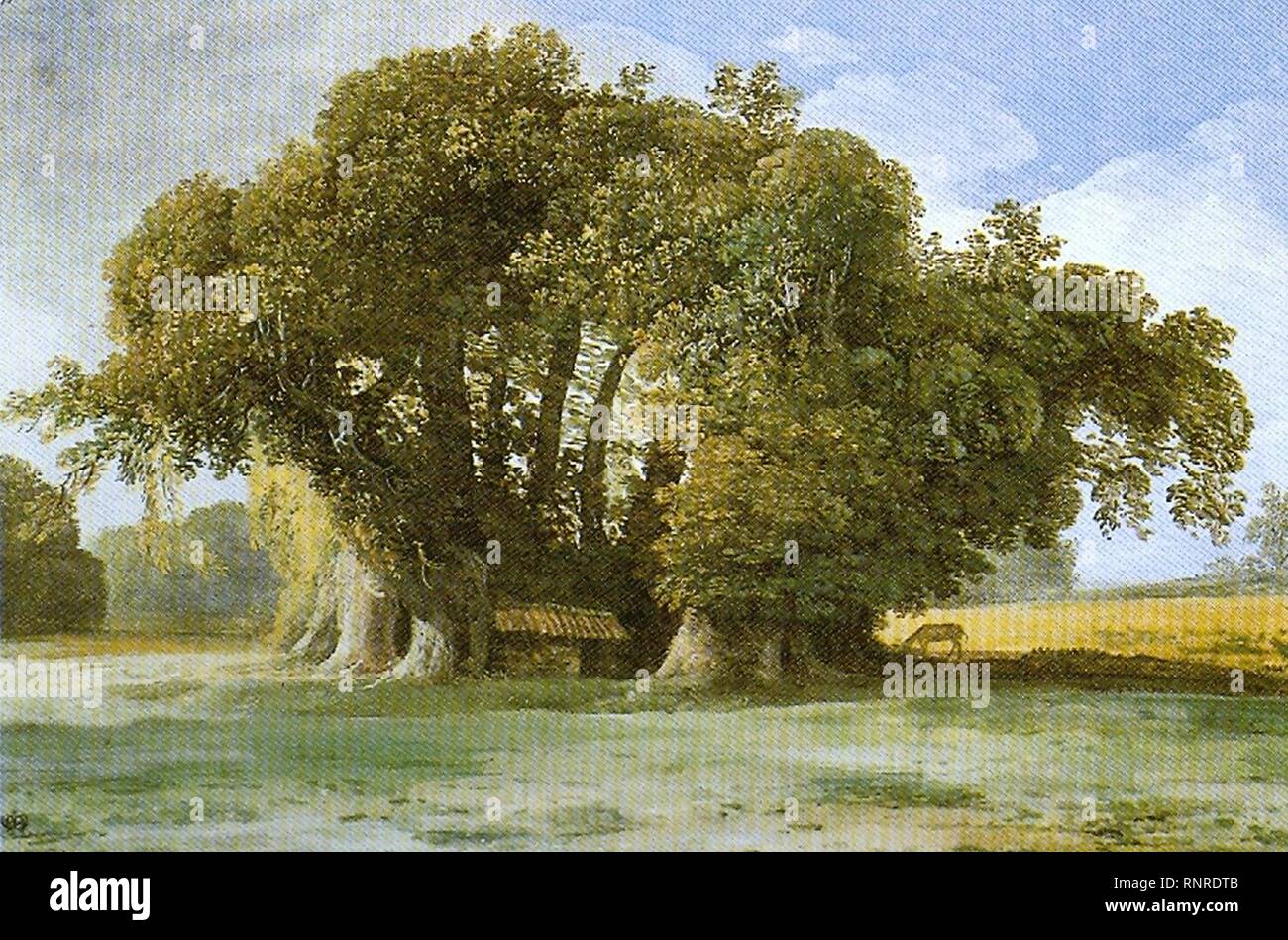 Castagno dei cento cavalli JeanPierre Houël Stock Photo Alamy