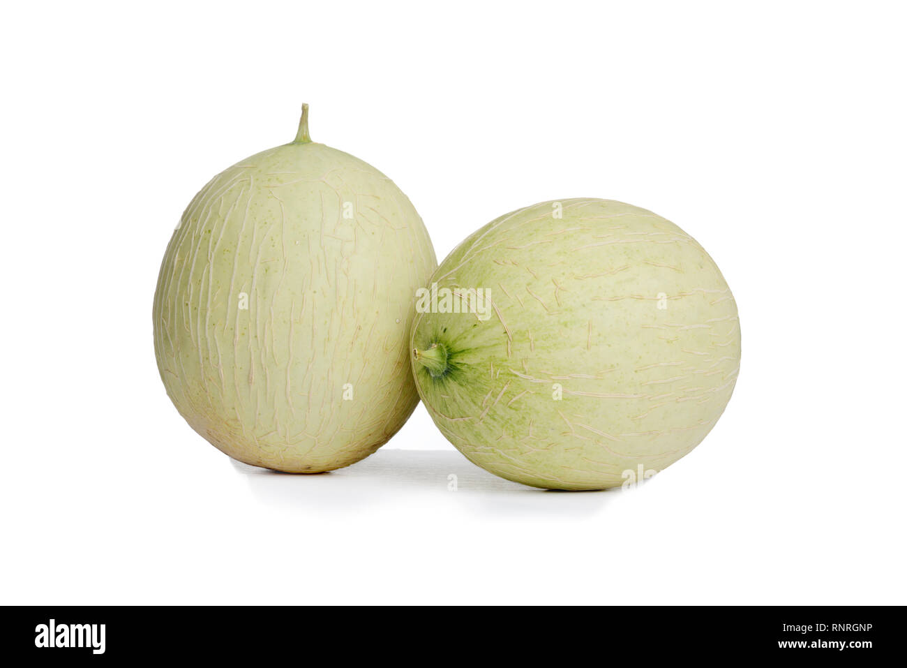 Two hybrid cantaloupe honeydew melons Stock Photo Alamy