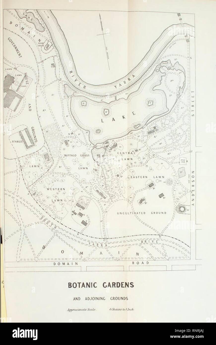 Catalogue of plants under cultivation in the Melbourne Botanic gardens