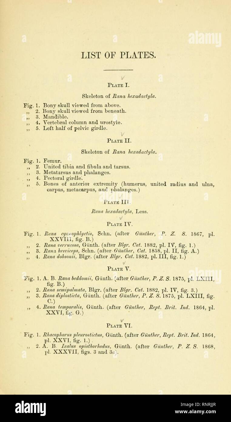 Catalogue of the Batrachia Salientia and Apoda (frogs, toads, and cœcilians) of southern India (Page (53), Description of Plates, p. 53-54) Stock Photo