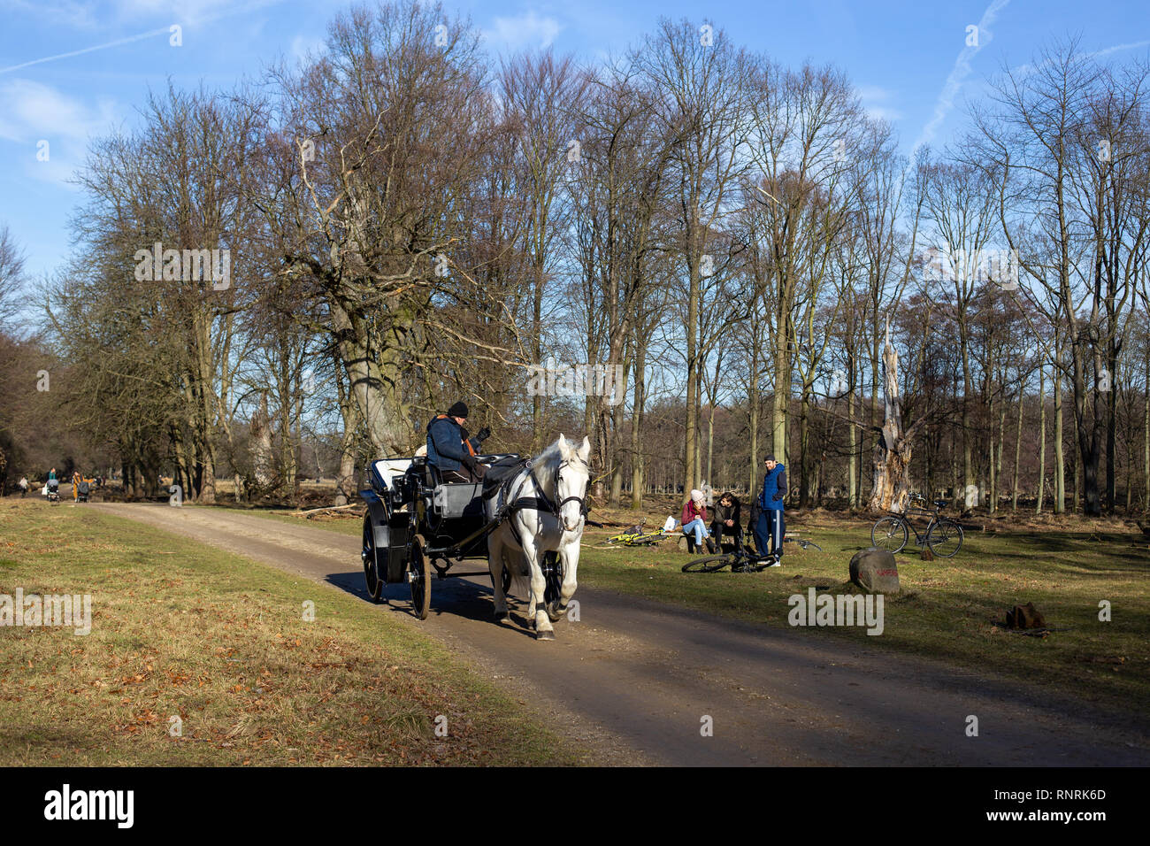 Horsedrawn carriage in Dyrehaven in Copenhagen Stock Photo Alamy
