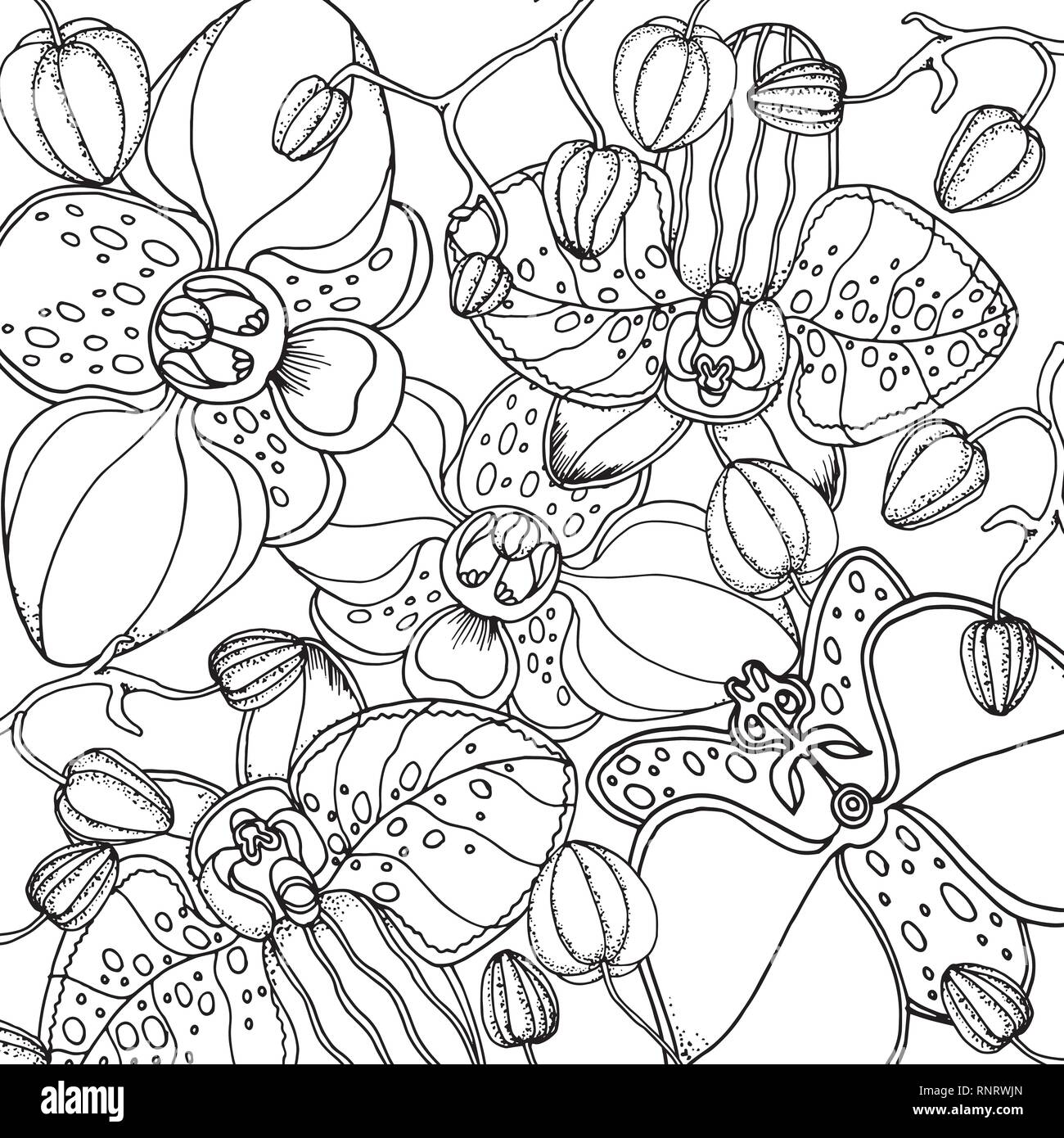 Doodle floral background in vector with doodles black and white coloring page Stock Vector