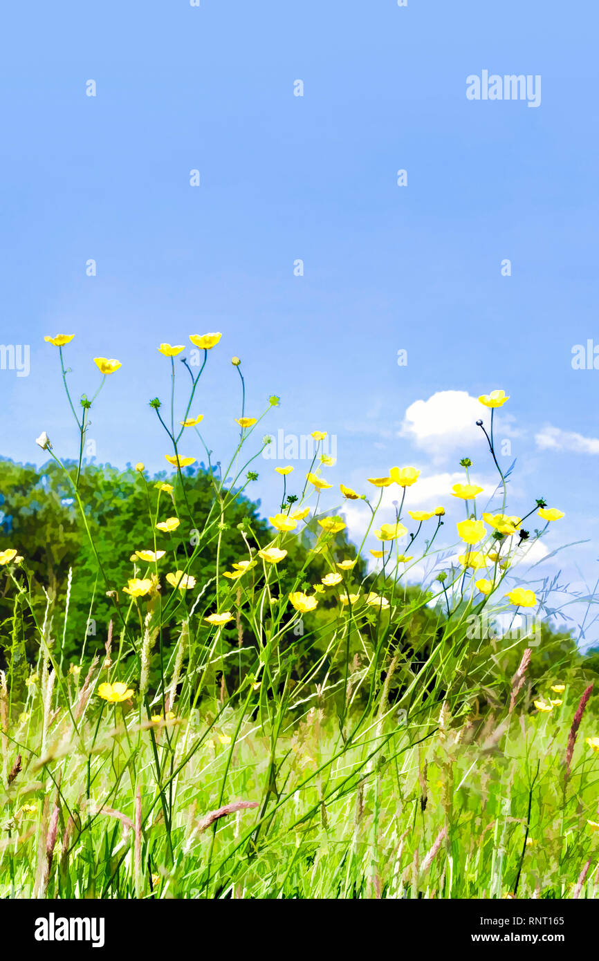 Stylised painterly image of buttercups in a summer meadow against a blue sky Stock Photo