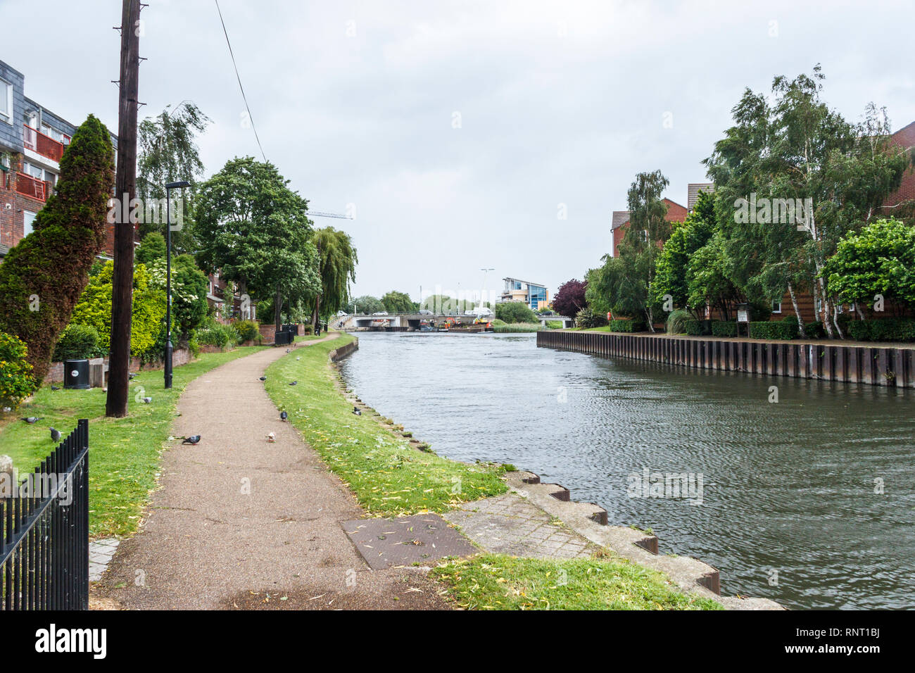 The River Lea in Tottenham, London, UK, looking North, Ferry Lane bridge in the background Stock Photo