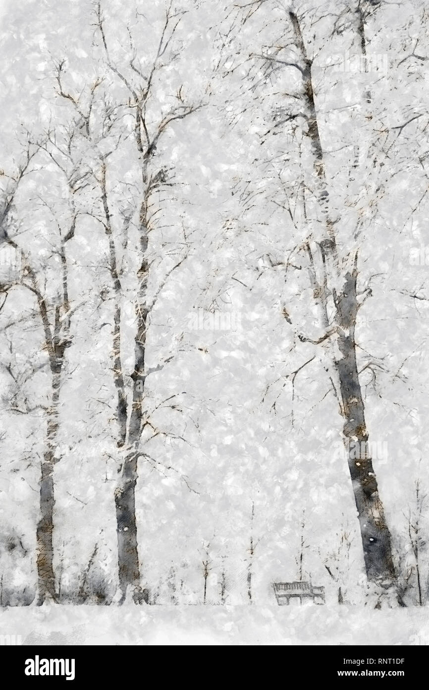 Christmas card style painterly illustration of a winter scene with trees and bench in the snow Stock Photo