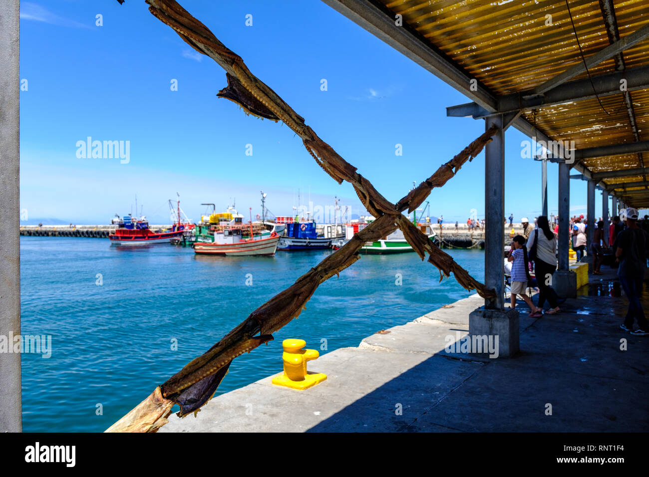 Fishing boats in Kalk Bay Harbour, near Cape Town, South Africa Stock Photo