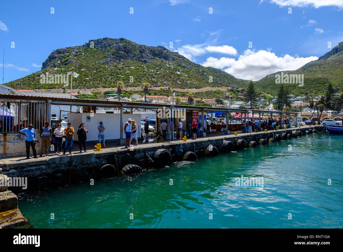 Tourists watching seals in Kalk Bay Harbour, near Cape Town, South Africa Stock Photo