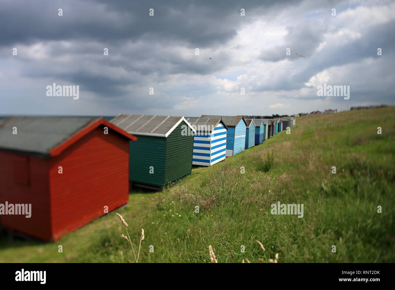 Brightly coloured beach huts beneath Tankerton Slopes, Whitstable, Kent, UK. Photographed using a perspective-control lens. Stock Photo