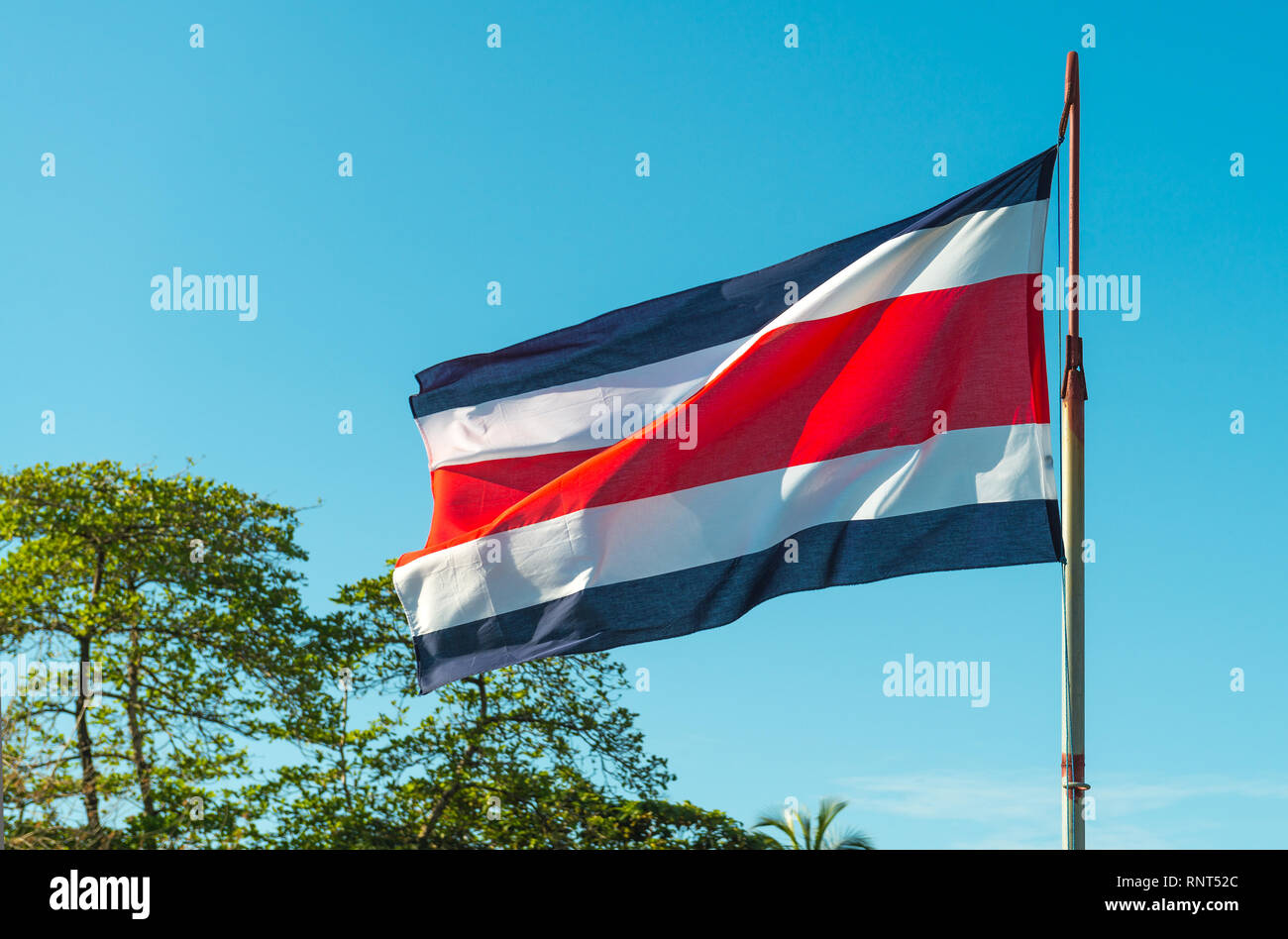 The flag of the democratic republic of Costa Rica in Central America waving in the wind with tree canopy in the background. Stock Photo