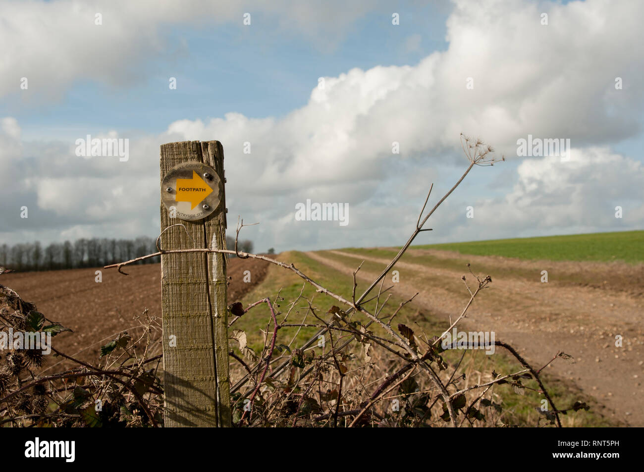 A Footpath sign marker in a rural field beside a farm track Stock Photo