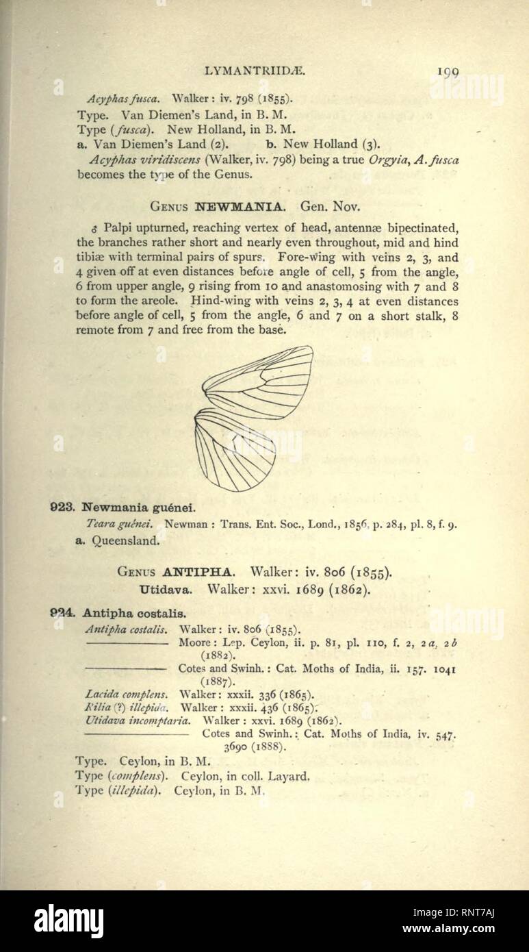 Catalogue of eastern and Australian Lepidoptera Heterocera Stock Photo