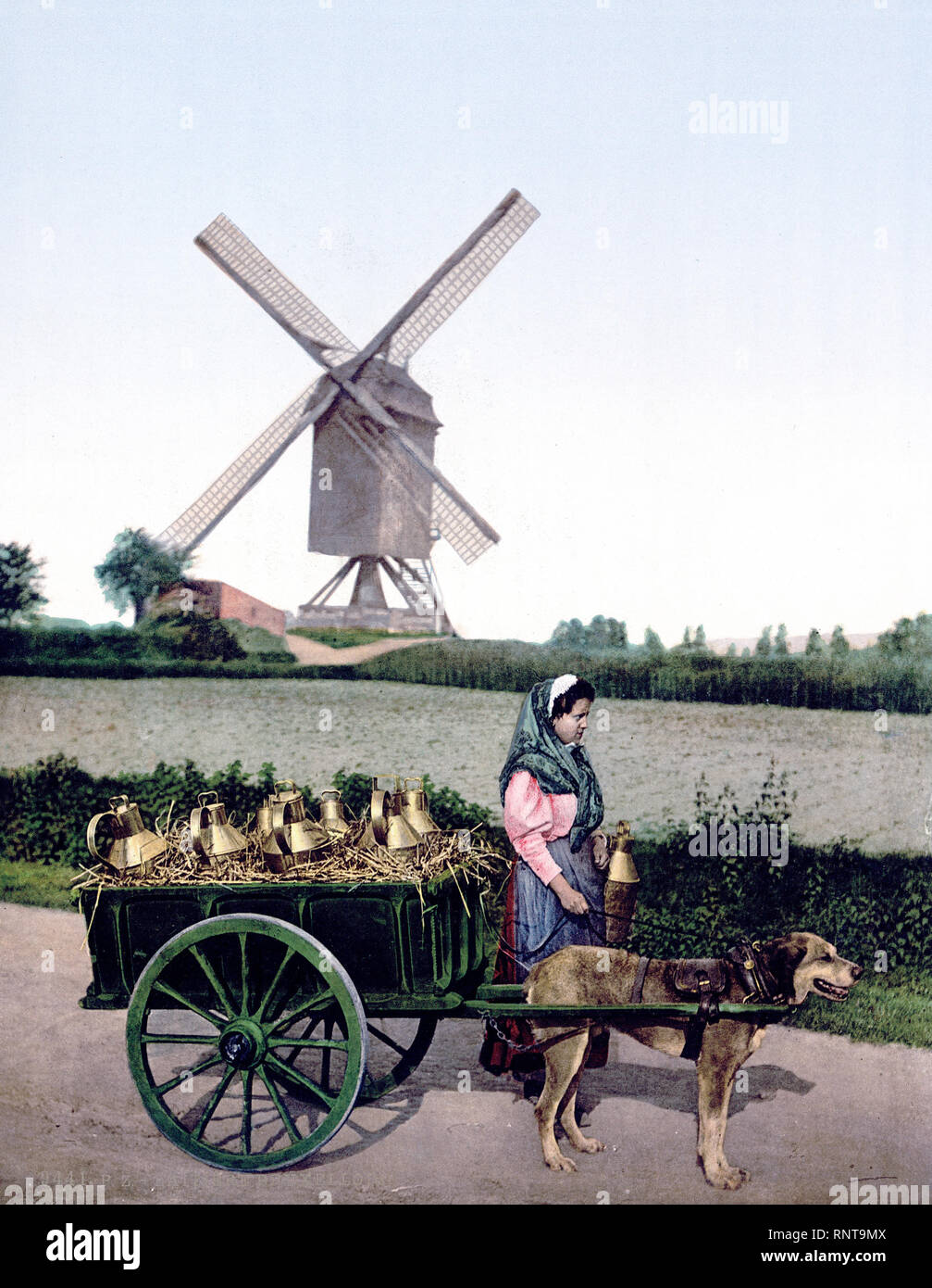 Milksellers, Brussels, Belgium main image 1