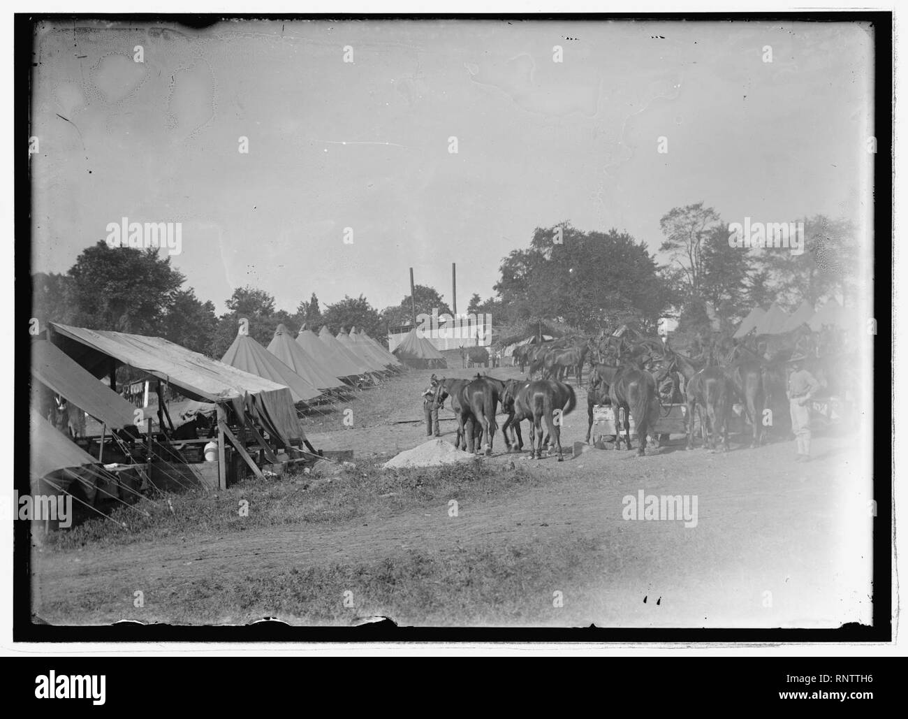 Cavalry camp, Winchester, Va., 1913 Stock Photo Alamy
