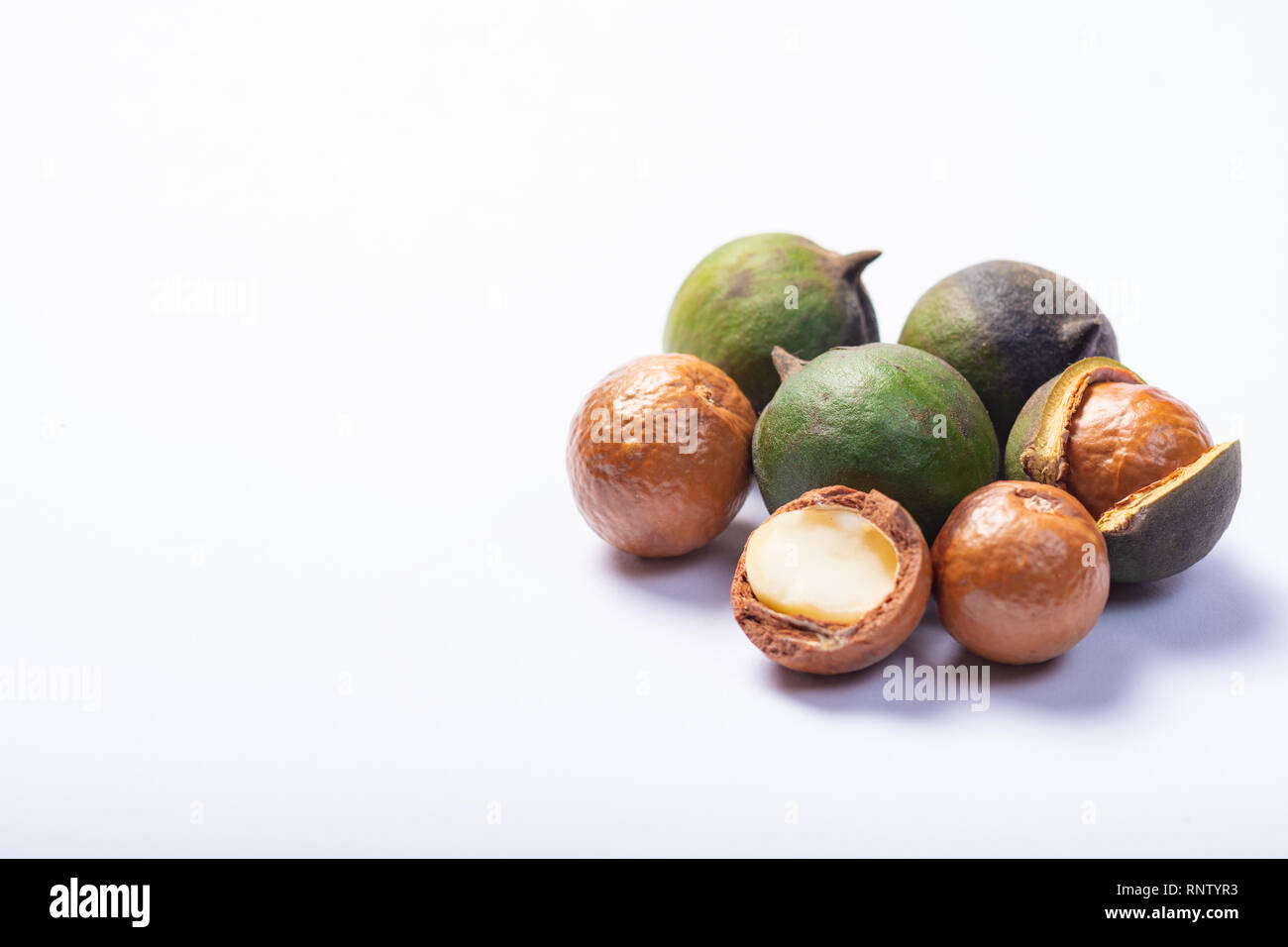 Fresh harvest of macadamia nuts, green macadamia nuts in shell and