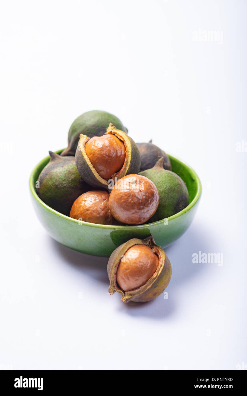 Fresh harvest of macadamia nuts, green macadamia nuts in shell close up