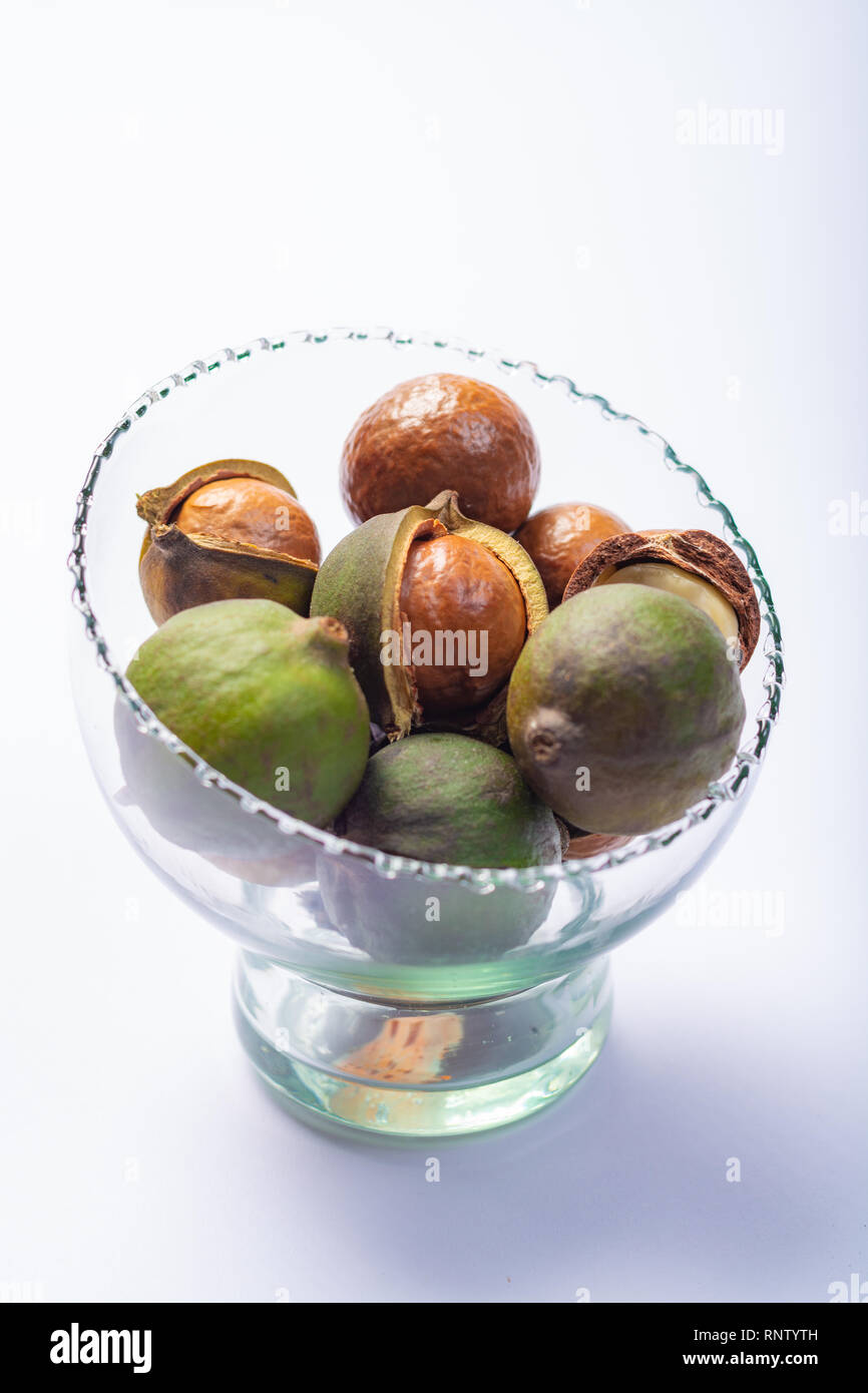 Fresh harvest of macadamia nuts, green macadamia nuts in shell and