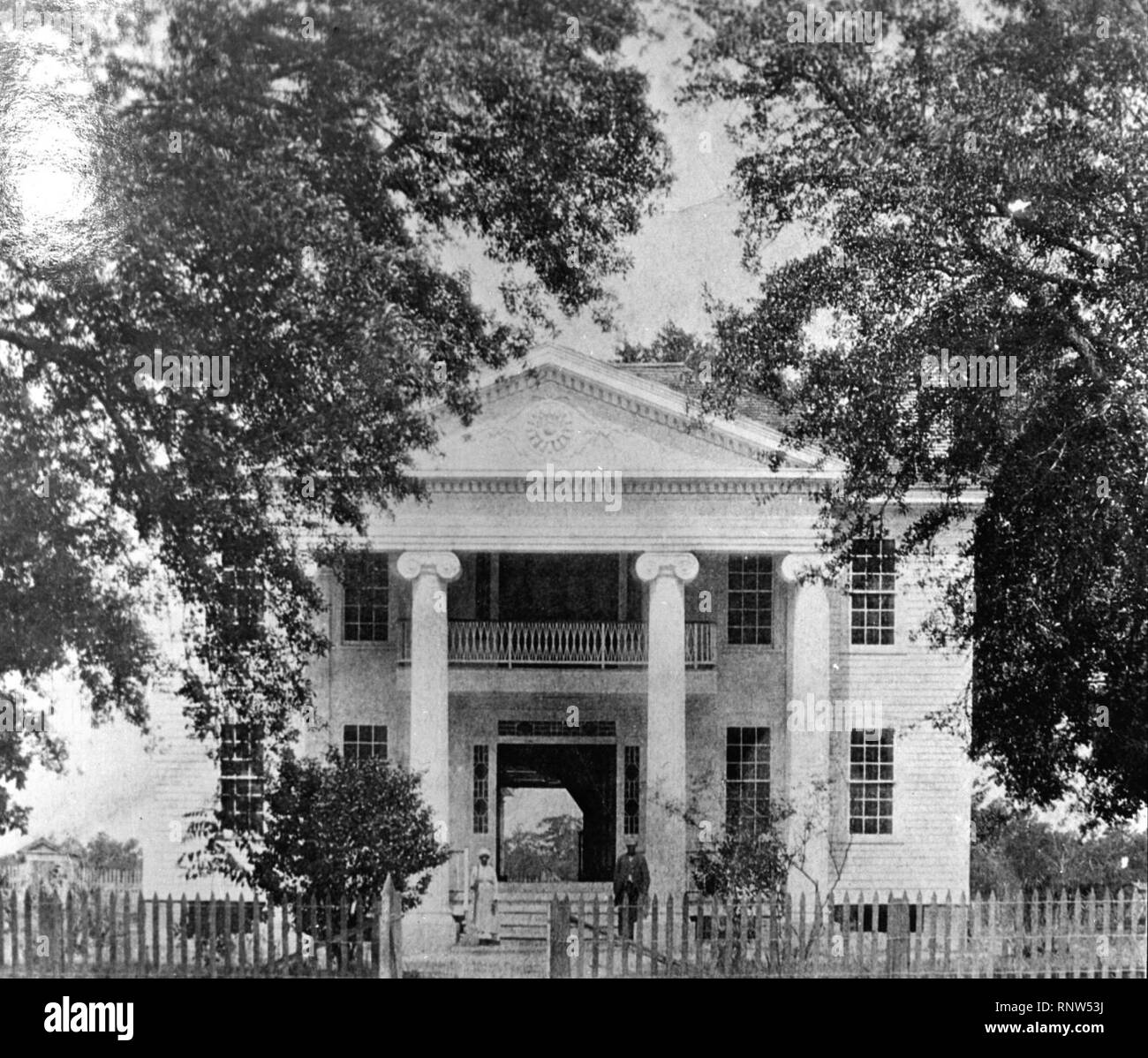 Cedar Grove Circa 1880 Stock Photo Alamy