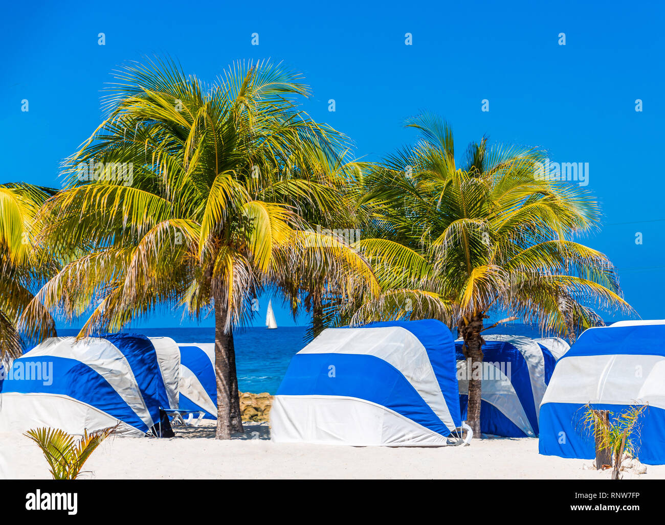 Covered Chaise Lounges Stock Photo