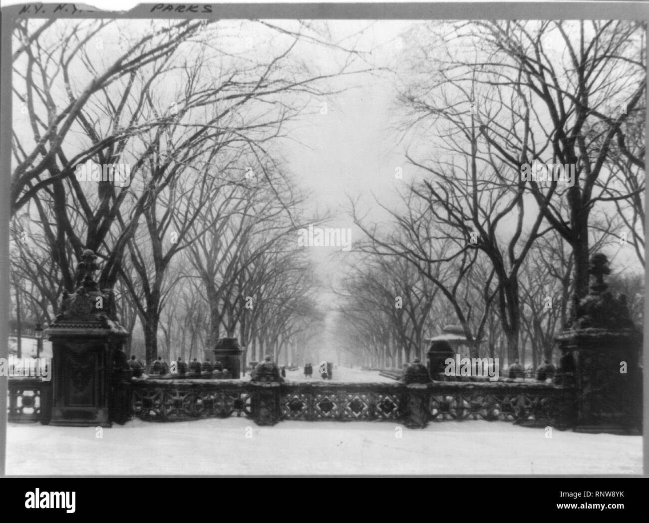 Central Park, New York City Stock Photo Alamy
