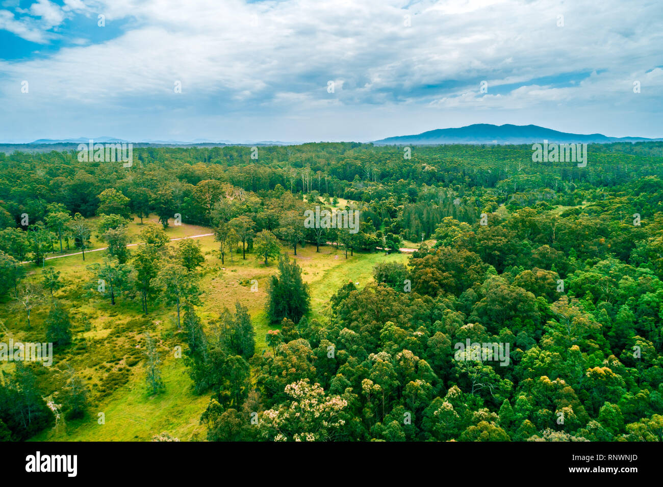 Aerial landscape of native Australian forest with mountain in the background Stock Photo