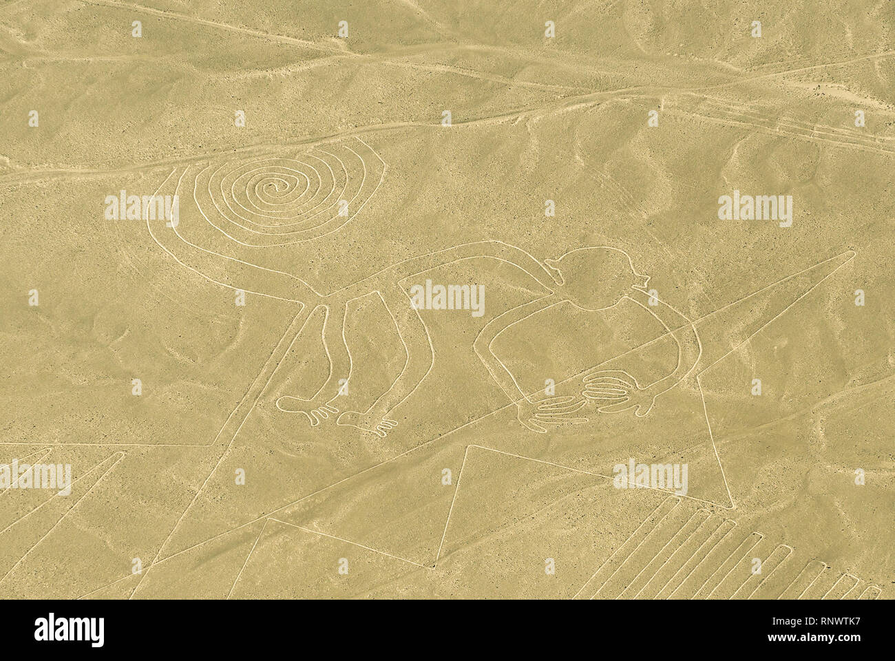 The monkey figure drawing in the desert sand known as the Nazca Lines near the city of Nazca, Peru, South America. Stock Photo
