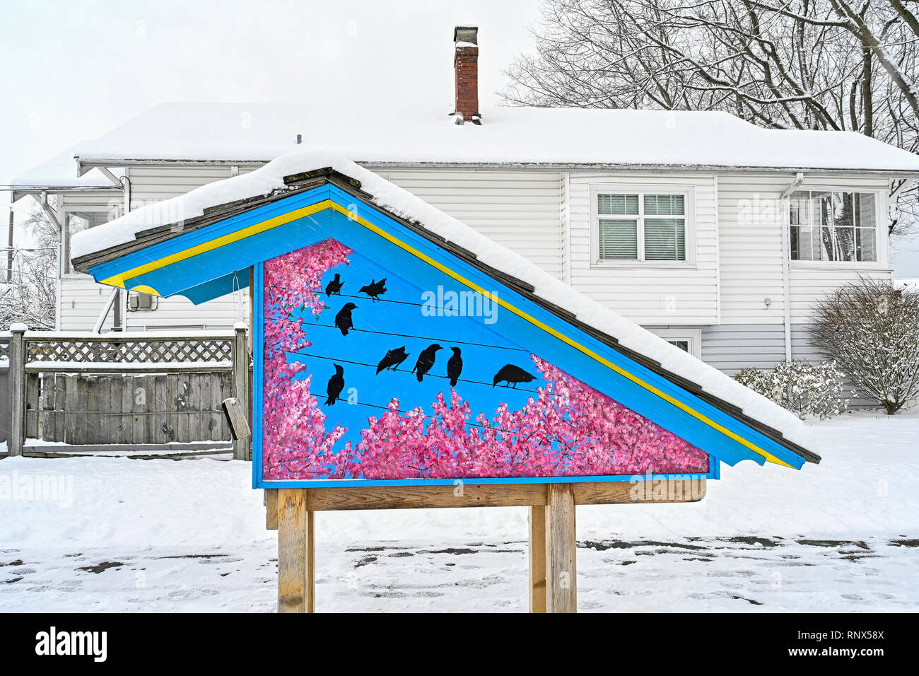 Little free library book box with snow, Vancouver, British Columbia