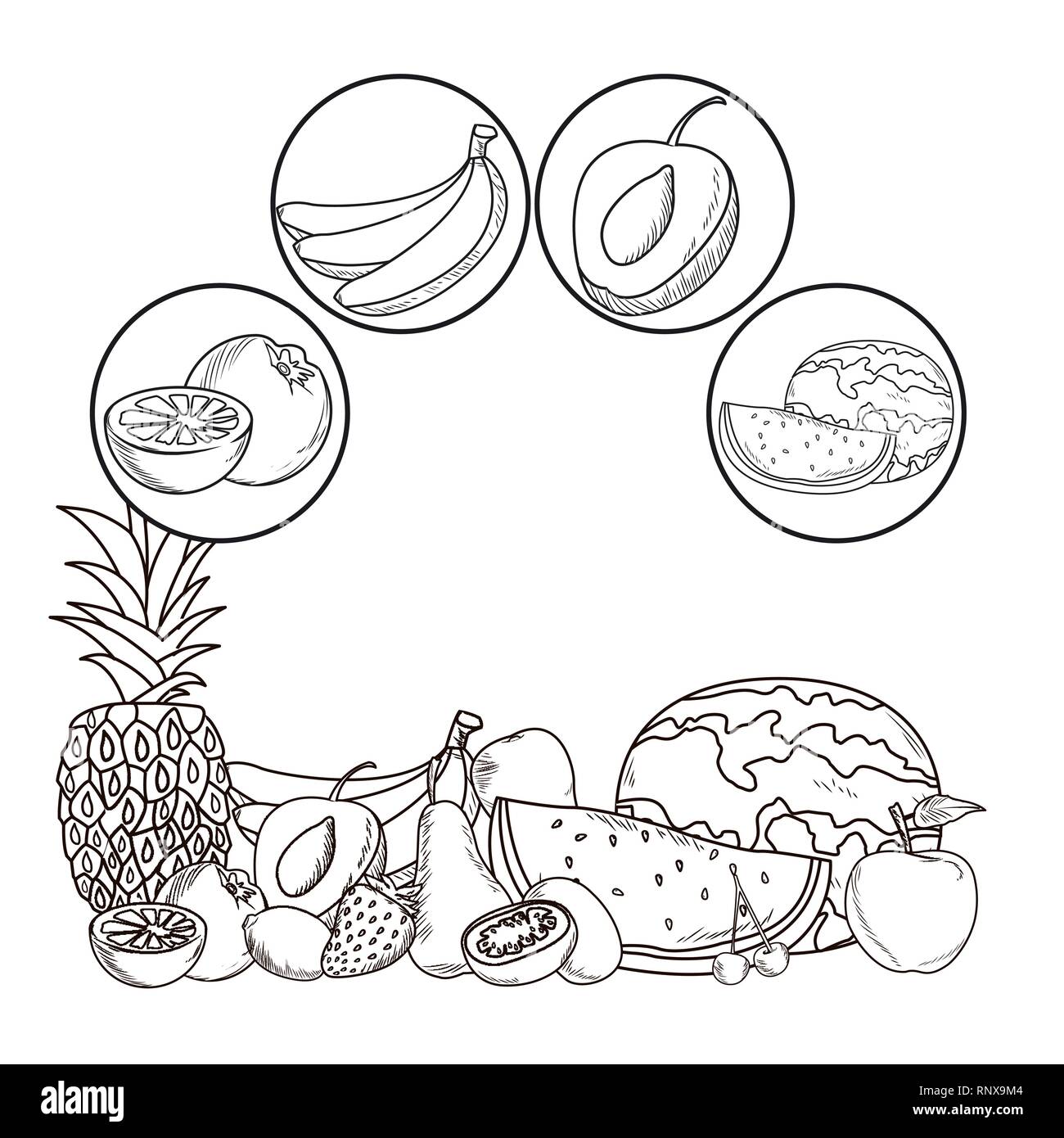 hand drawn fruits Stock Vector Image & Art - Alamy