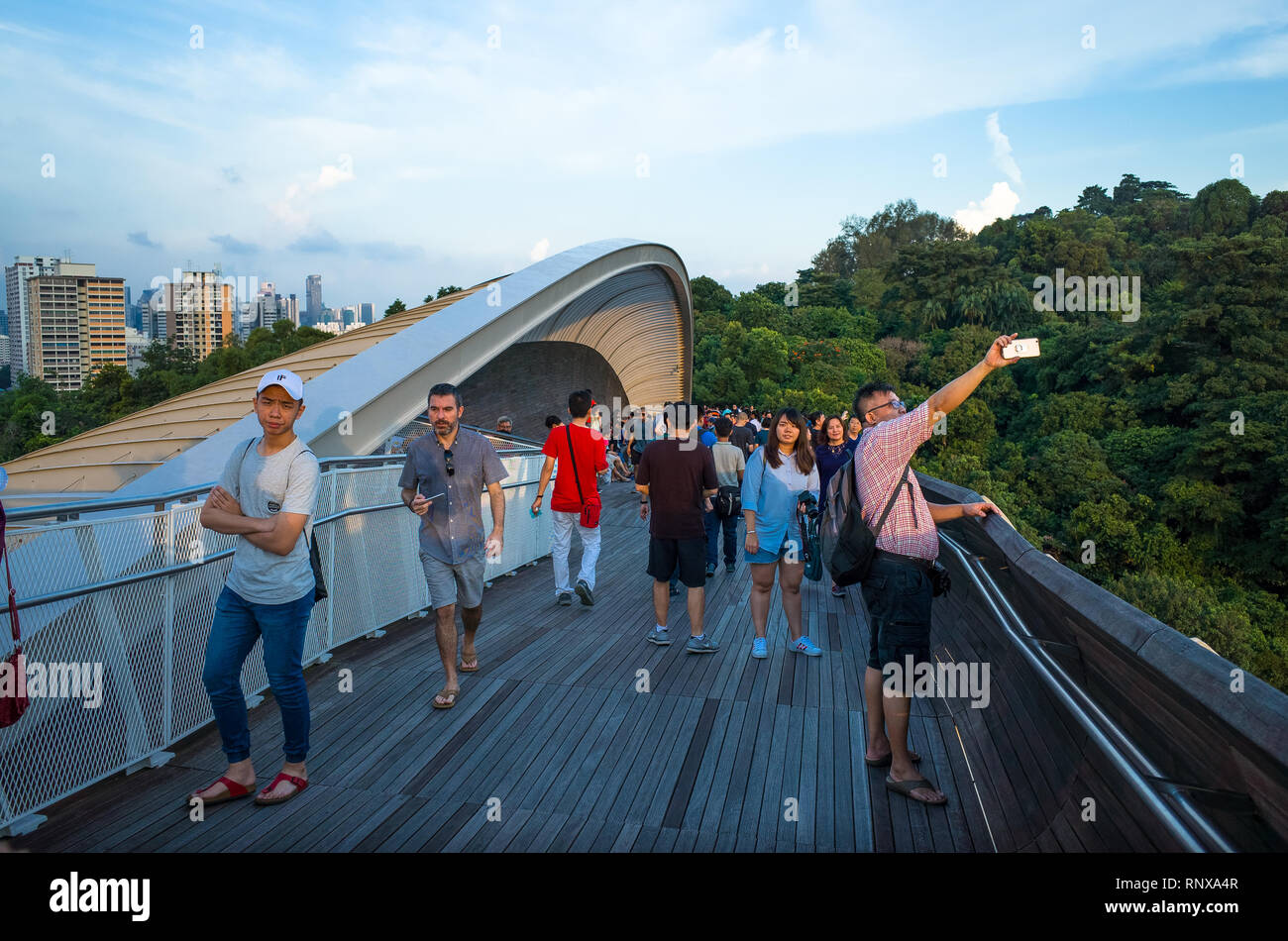 Tourists on Henderson Waves Bridge in Mount Faber Park, Singapore Stock Photo