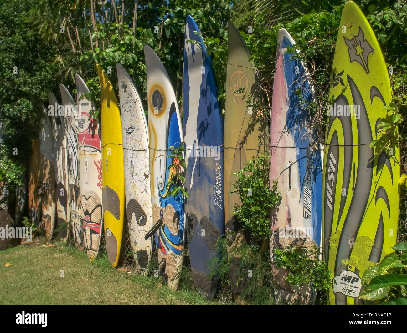 PAIA, UNITED STATES OF AMERICA - AUGUST 10 2015: a collection of old retired windsurfing boards at paia on maui Stock Photo