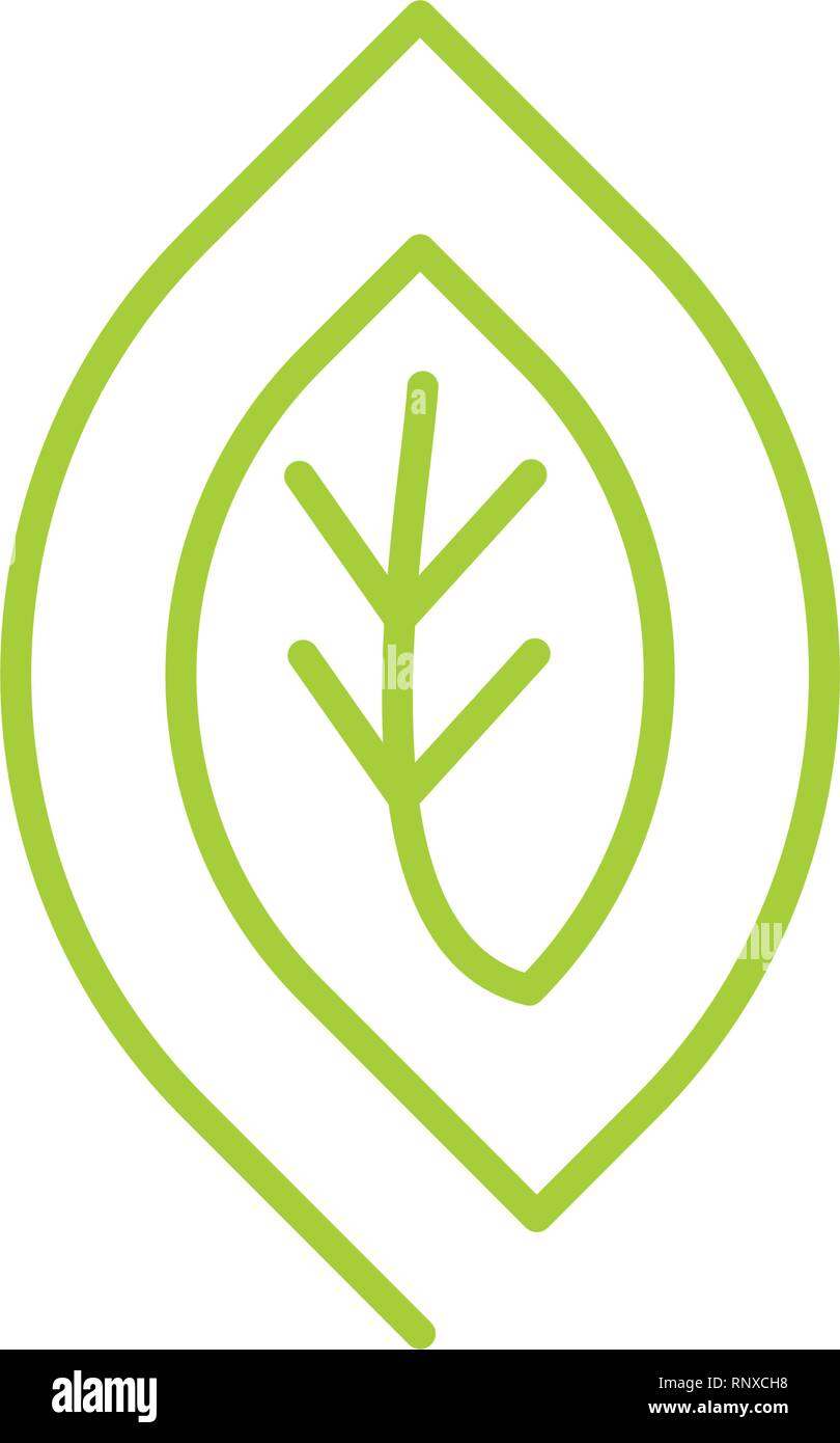 Leaf Logo Design Vector Template Isolated Stock Vector Image & Art - Alamy