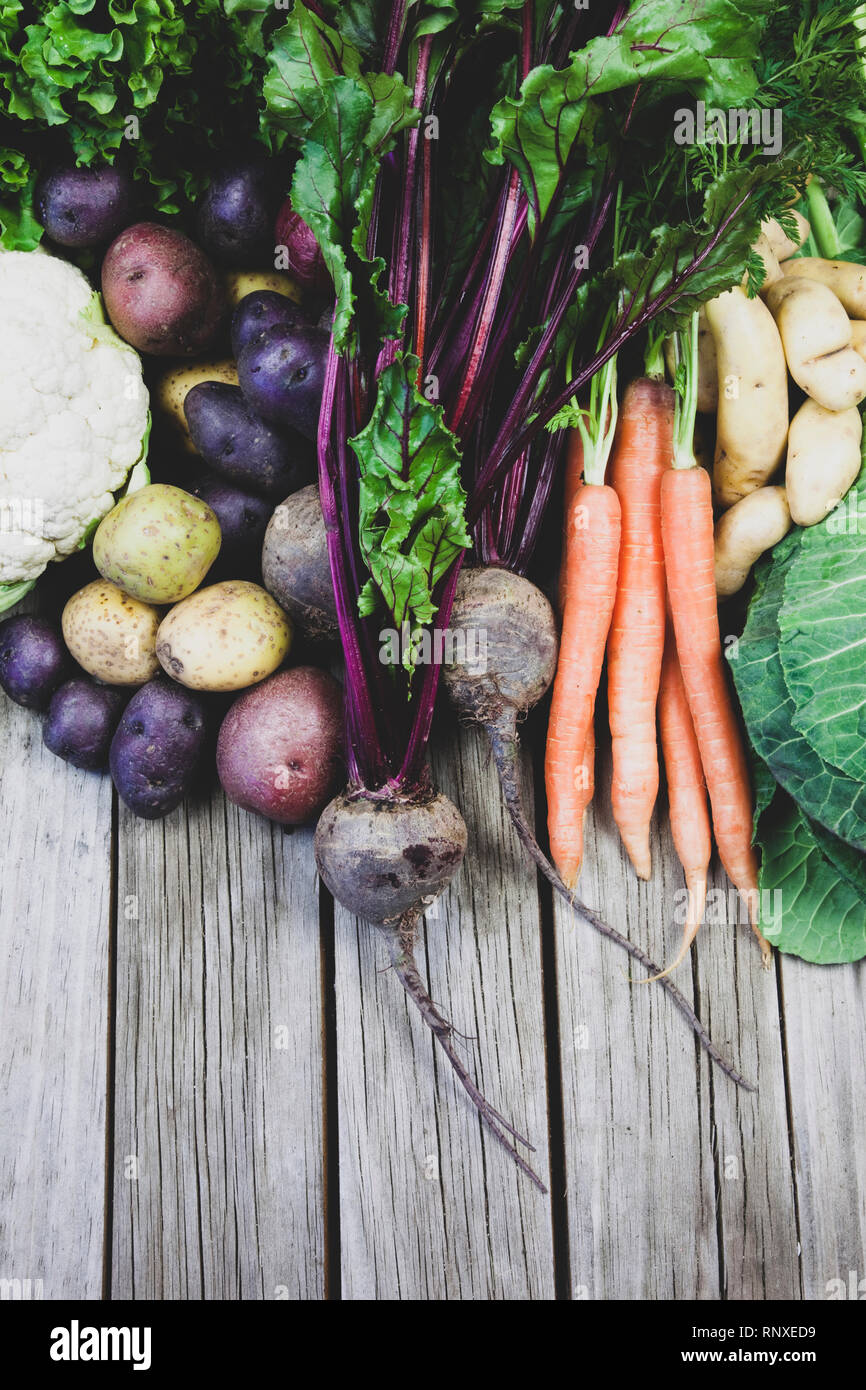 Farm fresh vegetables Stock Photo