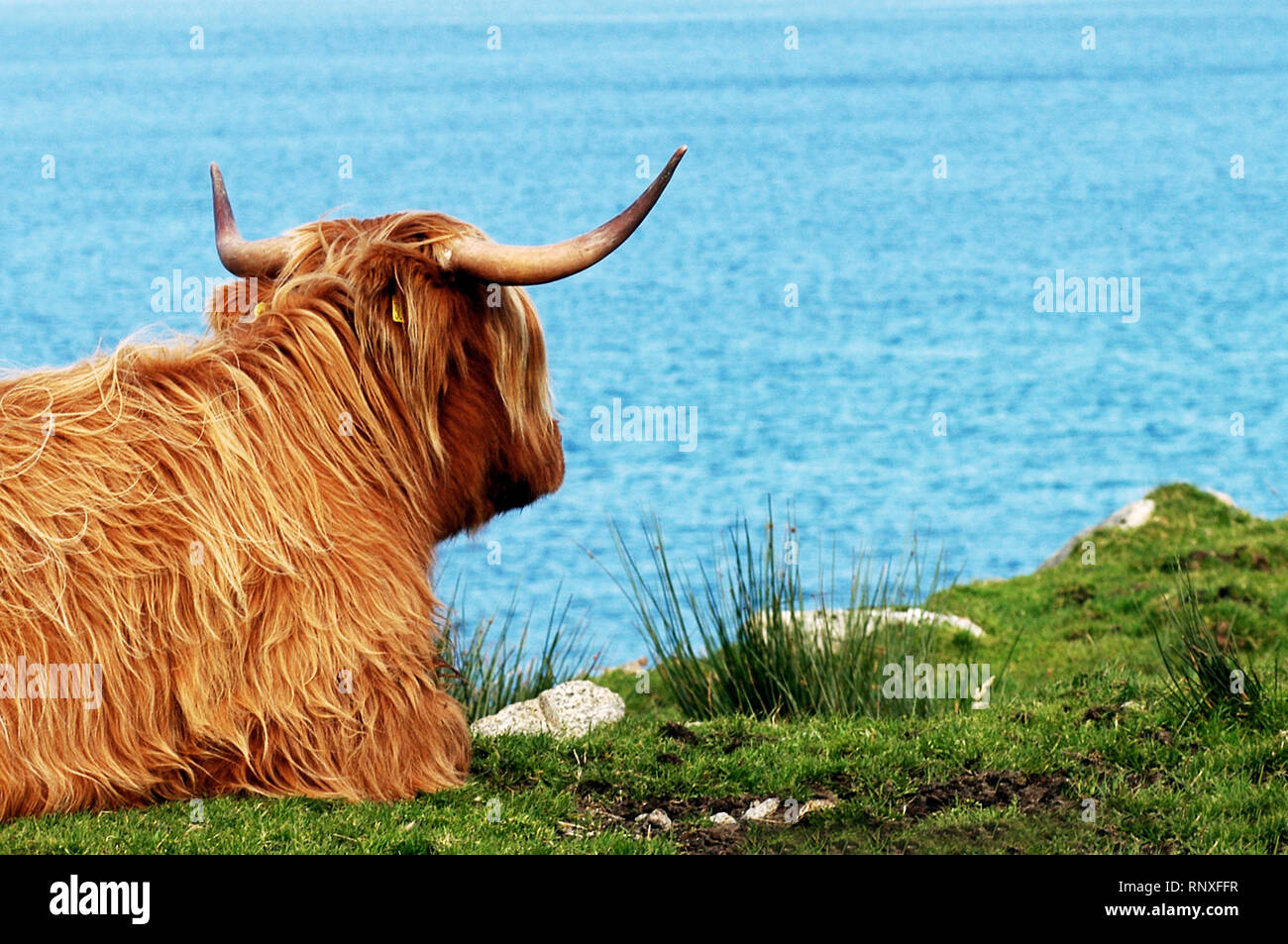 Scotland, United Kingdom Stock Photo - Alamy