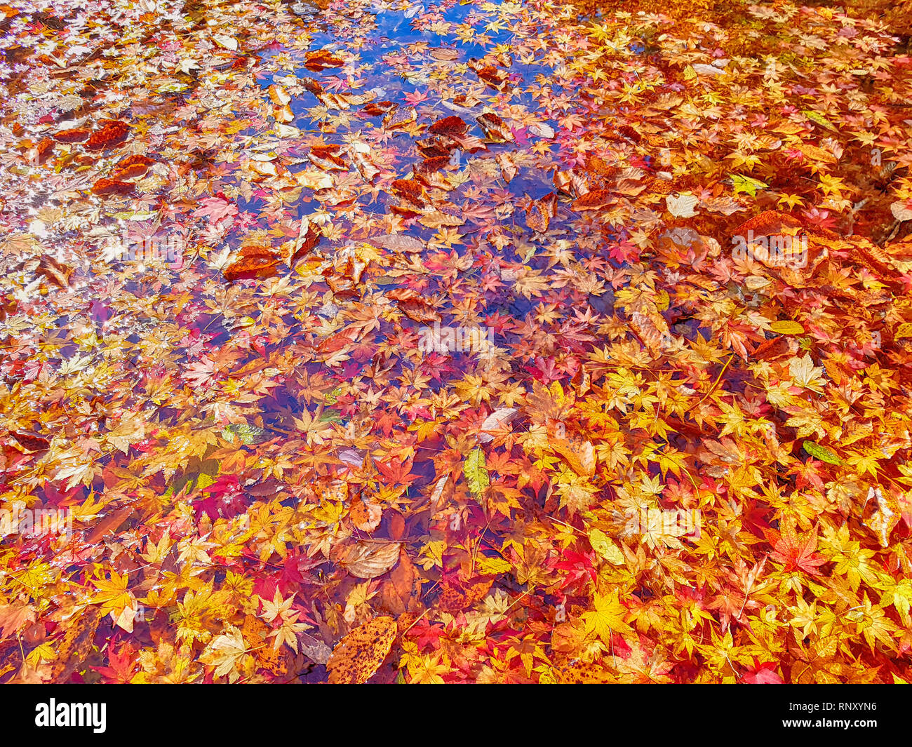 Autumn of Gancheonsan Mountain, Sunchang, Jeollanamdo, South Korea Asia Stock Photo