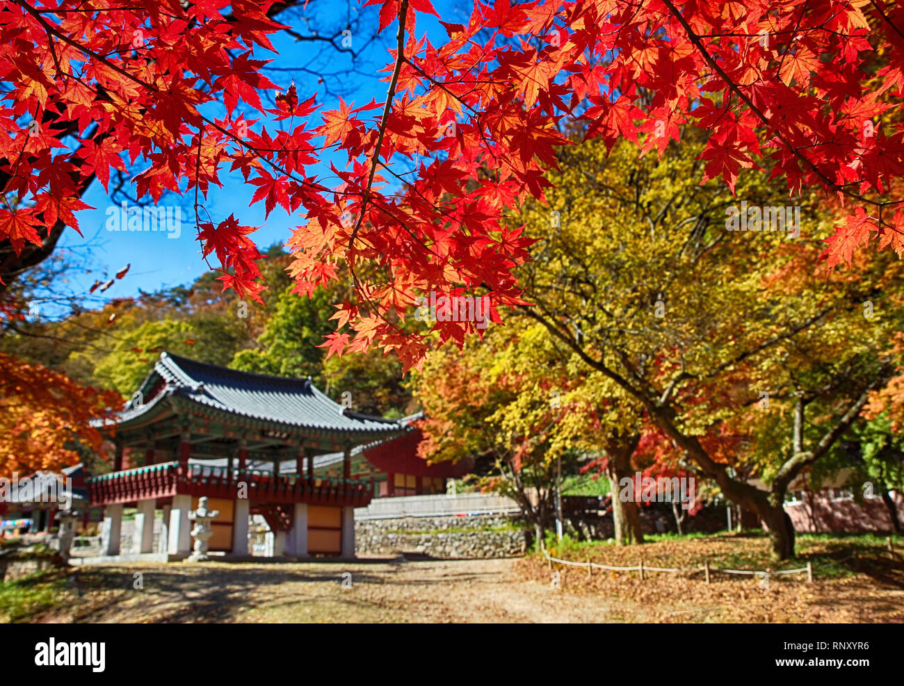 Autumn of Gancheonsan Mountain, Sunchang, Jeollanamdo, South Korea Asia Stock Photo