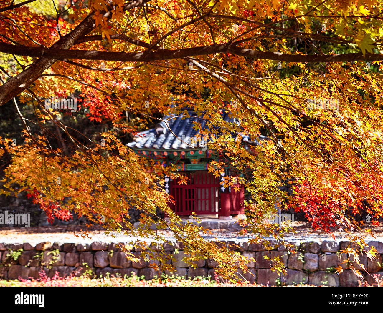 Autumn of Gancheonsan Mountain, Sunchang, Jeollanamdo, South Korea Asia Stock Photo