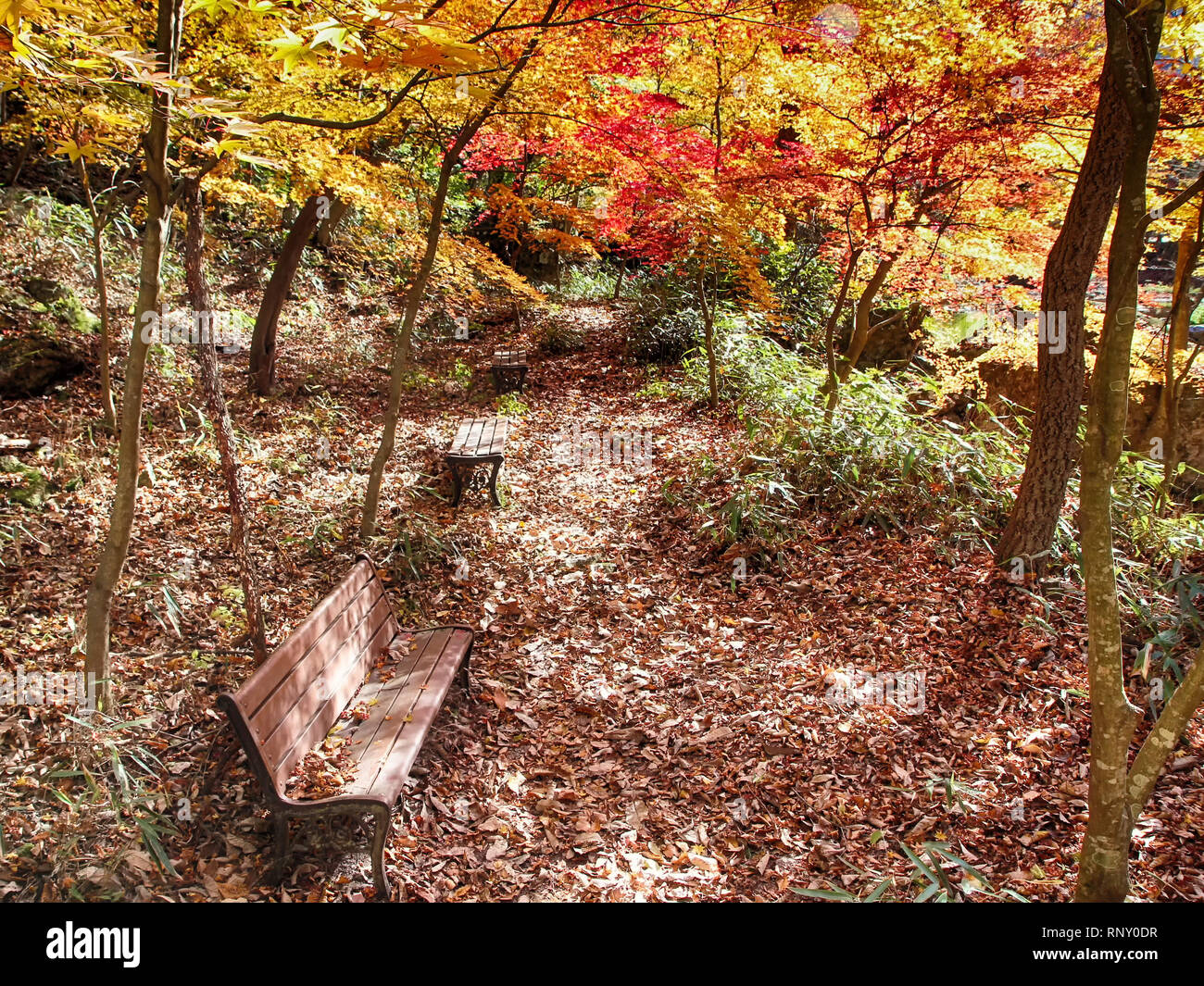 Autumn of Gancheonsan Mountain, Sunchang, Jeollanamdo, South Korea Asia Stock Photo